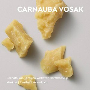 CARNAUBA VOSAK